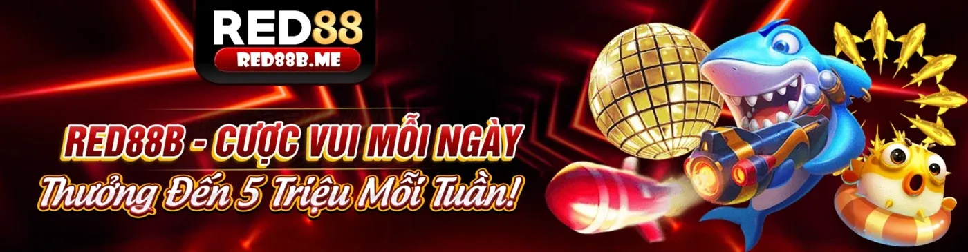 Các chương trình khuyến mãi độc quyền từ Bong888 link mới 2026